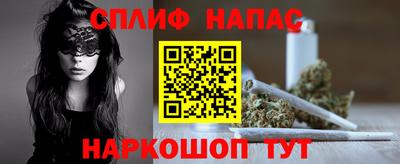 a pvp Новодвинск